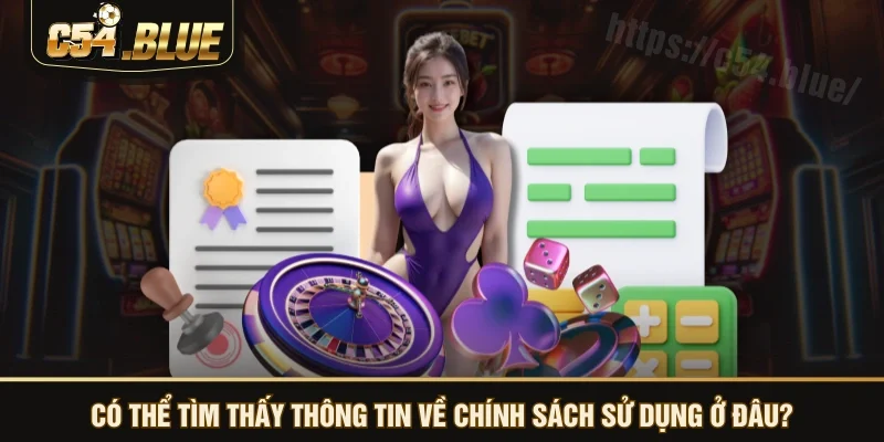 Có thể tìm thấy thông tin về chính sách sử dụng ở đâu?