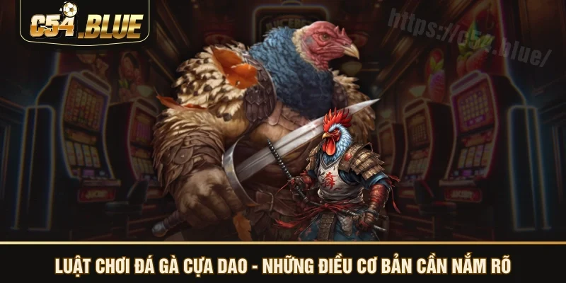 Luật chơi đá gà cựa dao - những điều cơ bản cần nắm rõ