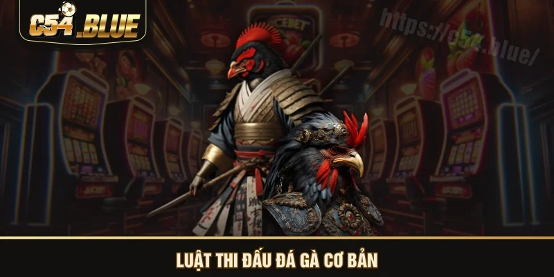 Luật thi đấu đá gà cơ bản