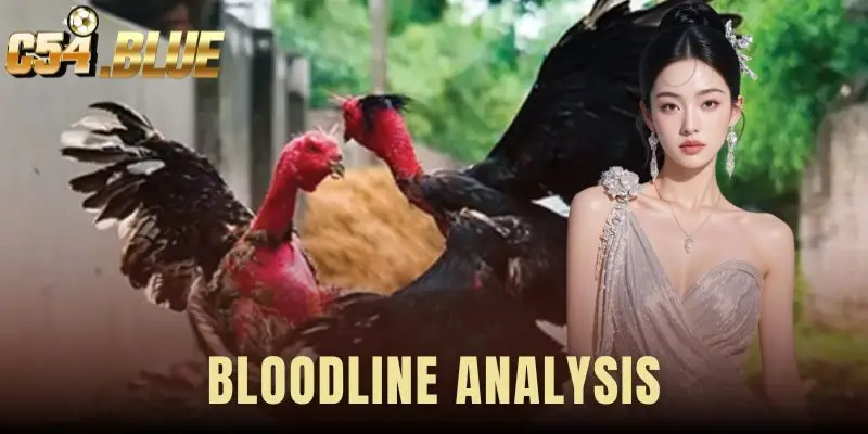 Bloodline Analysis