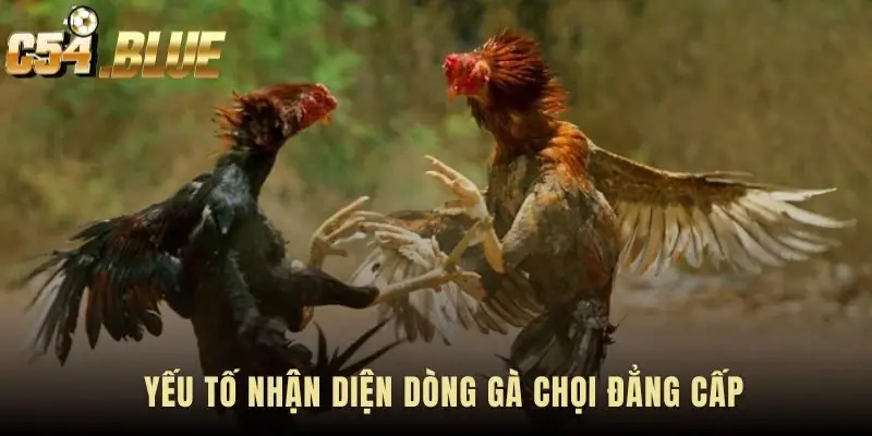 Phương pháp Bloodline Analysis xây dựng trên ba trụ cột chính